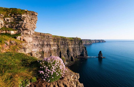 Top Hospitality & Gastronomy in Clare