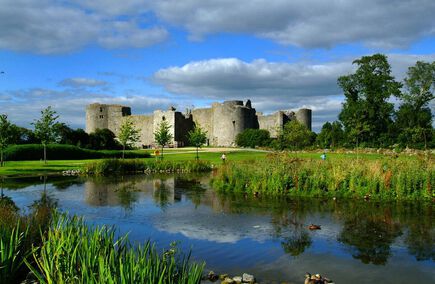 Top Hospitality & Gastronomy in Roscommon