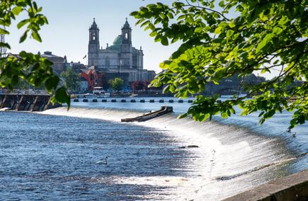 Top Hospitality & Gastronomy in Westmeath