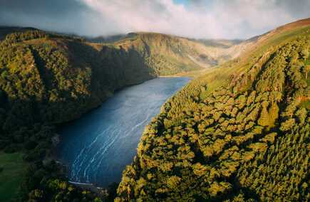 Top Wicklow Hospitalities & Gastronomies Guide