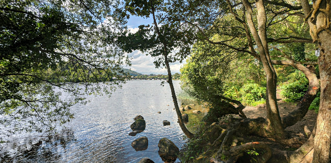 Goosers Bar & Eating House