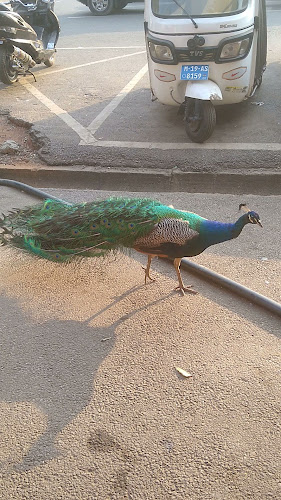 Comentarii opinii despre Planters Coffee Shop