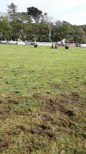 Opinii despre Walsh's Bakery Clifden în Clifden - Hospitality and gastronomy