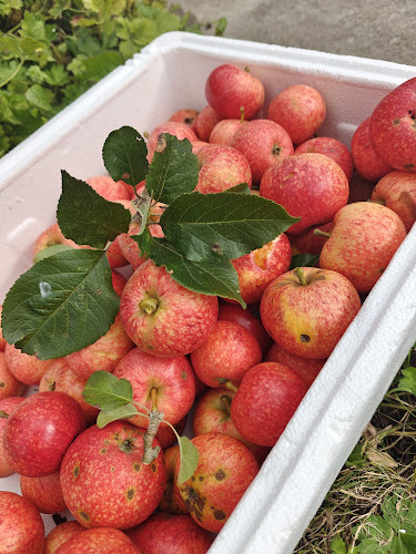 Lough Inn Restaurant, Farm and Pub - Partry