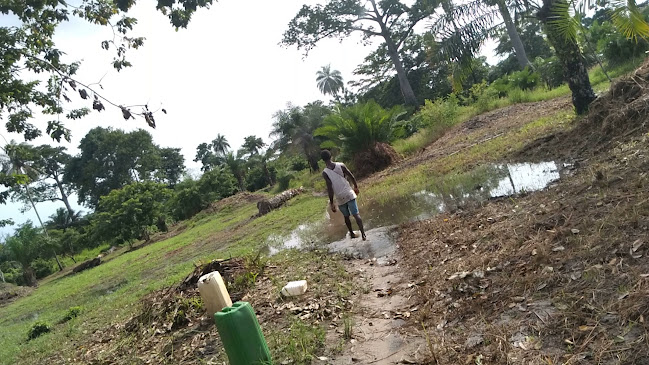 Campagne - Hospitality and gastronomy