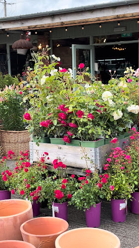 Strandfield - Hospitality and gastronomy