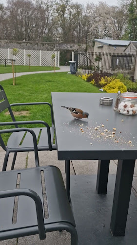 Opinii despre CaToCa Fine Food & Giftware în Portlaoise - Hospitality and gastronomy