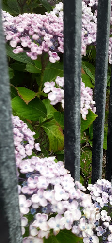 Opinii despre Domino's Pizza - Wexford în Wexford - Hospitality and gastronomy