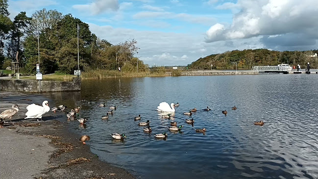 The Lough Ree Inn - Coosan Point