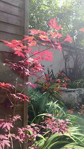 Mirabelles - Hospitality and gastronomy