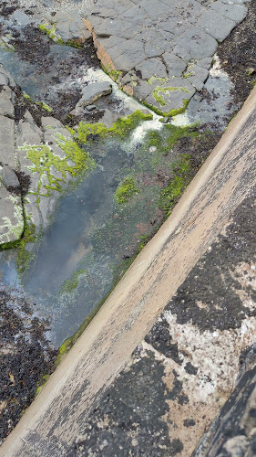 Opinii despre Buoys & Gulls în Bundoran - Hospitality and gastronomy