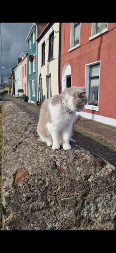The Anchor Bar - Cobh