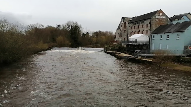 Opinii despre The Millhouse Bar & Grill în Annacotty - Hospitality and gastronomy