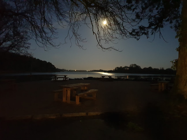 The Trailer Café - Hospitality and gastronomy