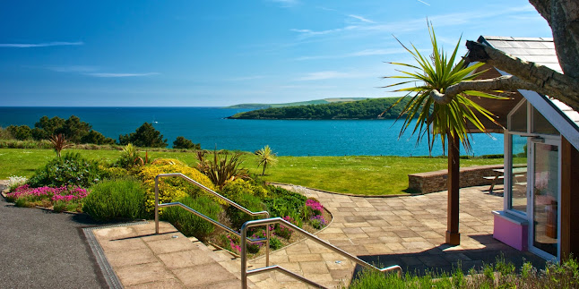 The Pink Elephant - Hospitality and gastronomy