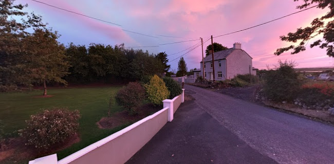 Opinii despre The Honk Bar în Newmarket On Fergus - Hospitality and gastronomy