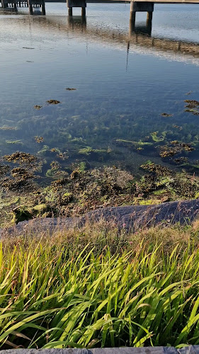 Comentarii opinii despre The Moorings Guesthouse & Seafood Restaurant @ The Bridge Bar