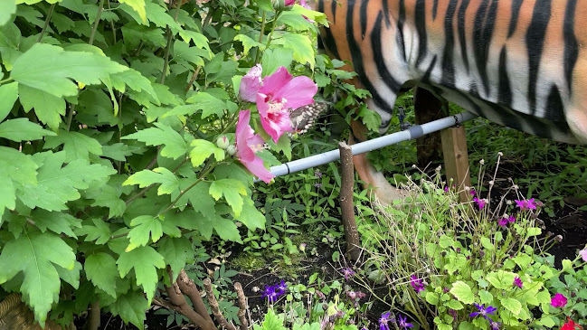 Thyme Out Cafe/Tea Rooms