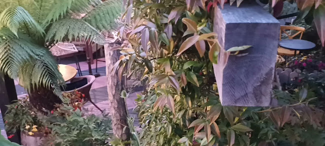 Opinii despre Larry & Nora's în Navan - Hospitality and gastronomy