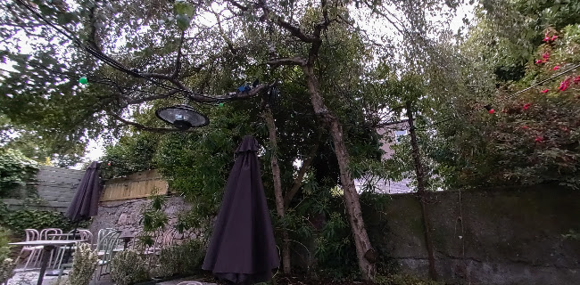 Comentarii opinii despre Nine