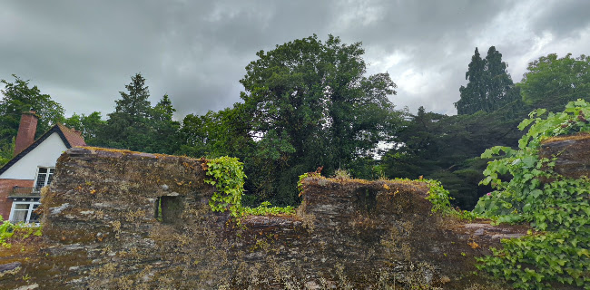 Opinii despre Lismore Farmers & Craft Market în Lismore - Hospitality and gastronomy