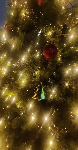 Opinii despre Ongar House Pub & Restaurant în Lucan - Hospitality and gastronomy