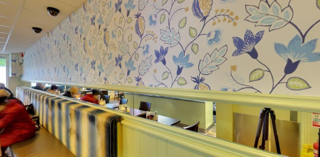 Comentarii opinii despre Brewery Cup