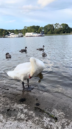 Coosan, Coosan Point, Co. Westmeath, N37 EA49