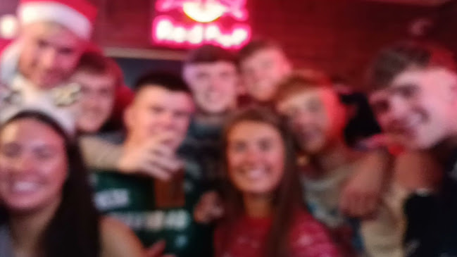 Opinii despre The Moose în Limerick - Hospitality and gastronomy