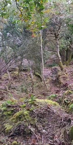 Gusto d'Italia - Limerick