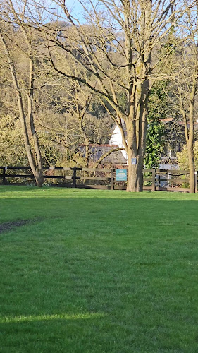 Comentarii opinii despre The Anglers Bar & Restaurant