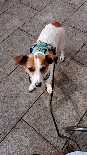 Opinii despre Selina's @CafeK în Killorglin - Hospitality and gastronomy