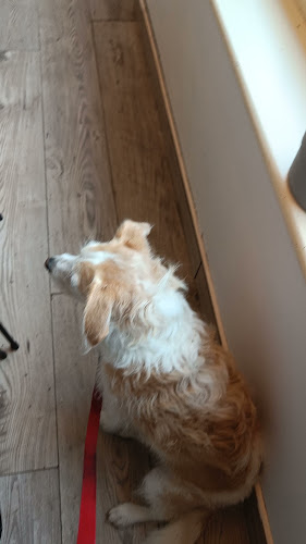 Opinii despre Brother Coffee - Bunclody în Bunclody - Hospitality and gastronomy