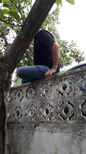 Opinii despre Walsh's în Westport - Hospitality and gastronomy