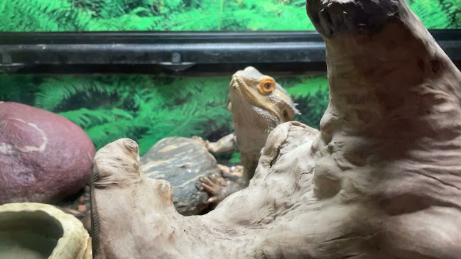 Thyme Out Cafe/Tea Rooms - Hospitality and gastronomy