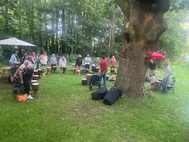Milford Weir, Milford, Co. Carlow