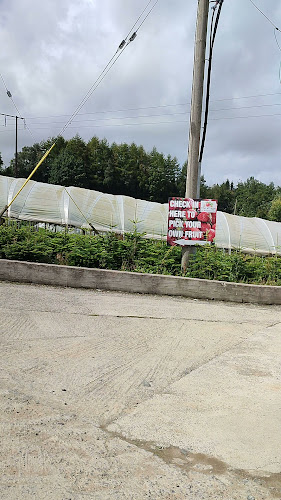 Comentarii opinii despre The Village at Wheelocks