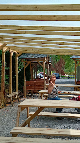 Comentarii opinii despre Holywell