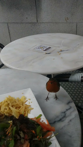 Opinii despre Kenny & Co în Trim - Hospitality and gastronomy