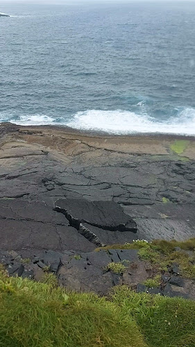 P Clarke's Bar - Hospitality and gastronomy