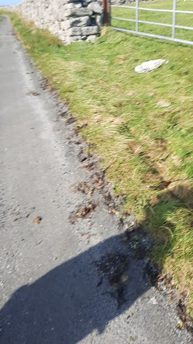 Linnalla Irish Ice Cream - New Quay