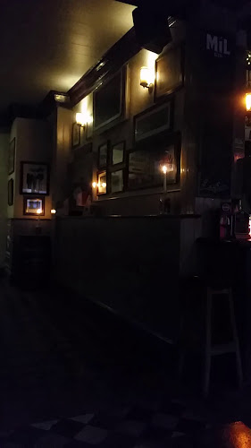 Costigan's Pub - Hospitality and gastronomy