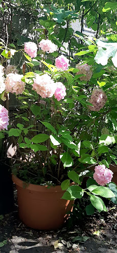 Opinii despre Mirabelles în Dunmanway - Hospitality and gastronomy