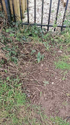Blackrock to Rochestown Walkway, Jacob's Island, Cork