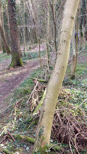 Comentarii opinii despre Amerigo Take Away