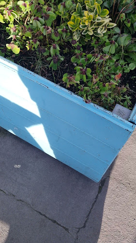 Goodies Panini & Sandwich Bar