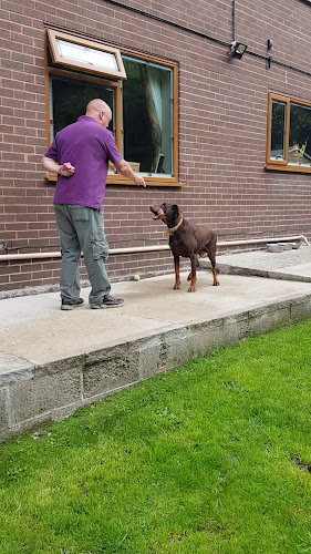 Comentarii opinii despre Dog Hotel