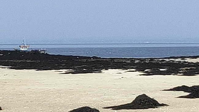 Opinii despre Linnalla Irish Ice Cream în New Quay - Hospitality and gastronomy