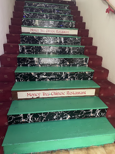 Comentarii opinii despre Money Tree Chinese