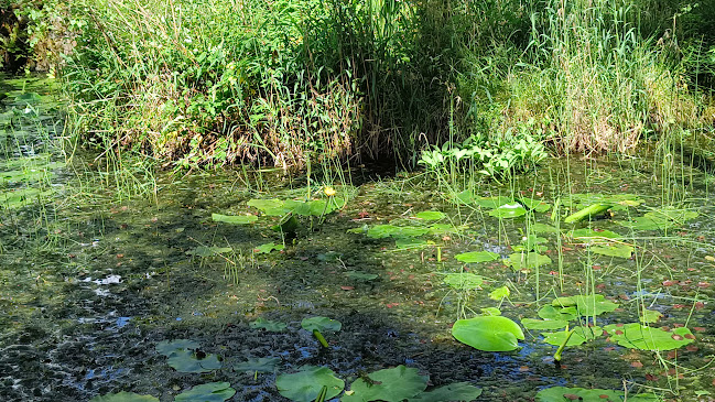 Holywell - Hospitality and gastronomy